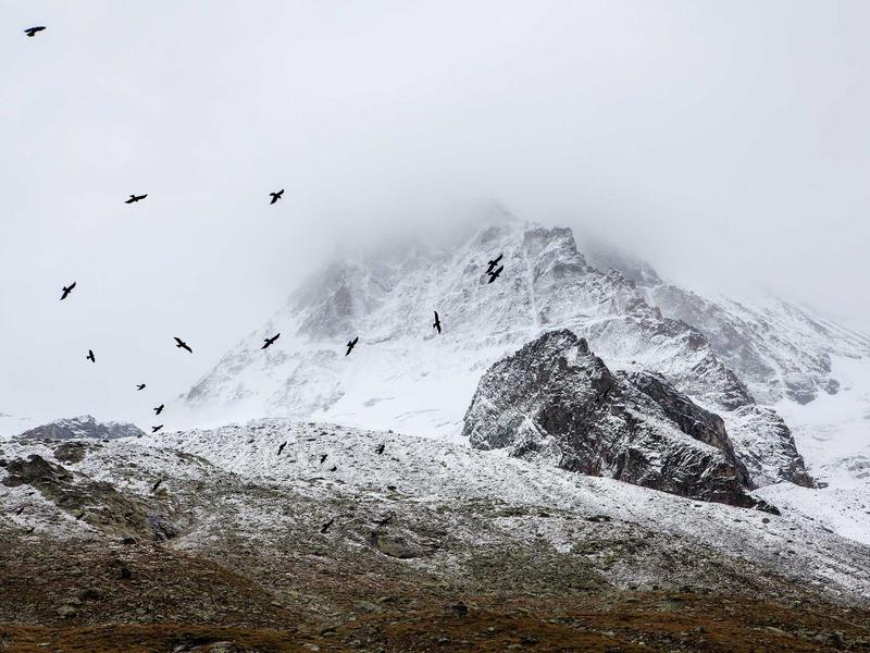 sudoku hidden singles screenshot 4